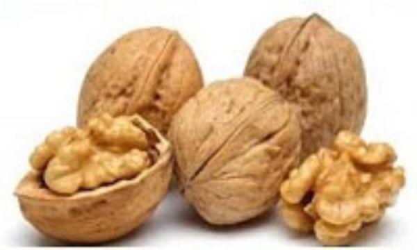 خشکبار - منبعی از انرژی خشکبار ، منبعی از انرژی