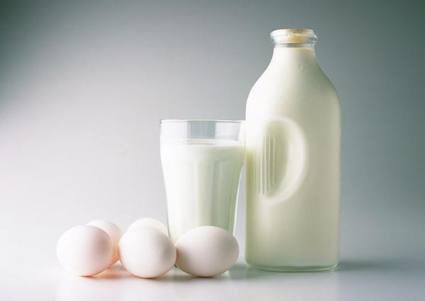 تخم مرغ و شیر؛ پروتئین هایی حتی برا گیاهخواران