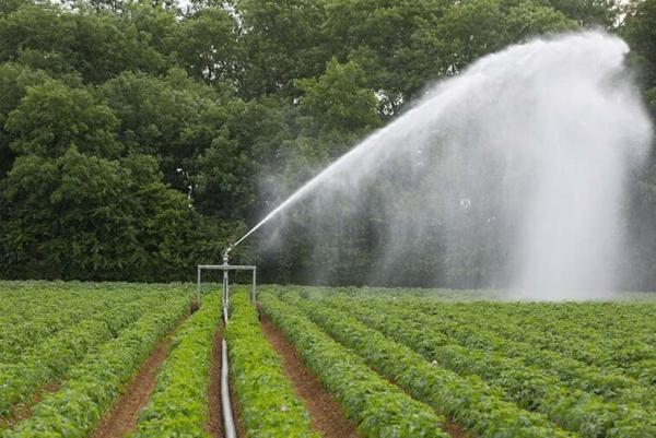 سامانه ای بومی و هوشمند به کمک مدیریت مصرف آب در کشاورزی آمد